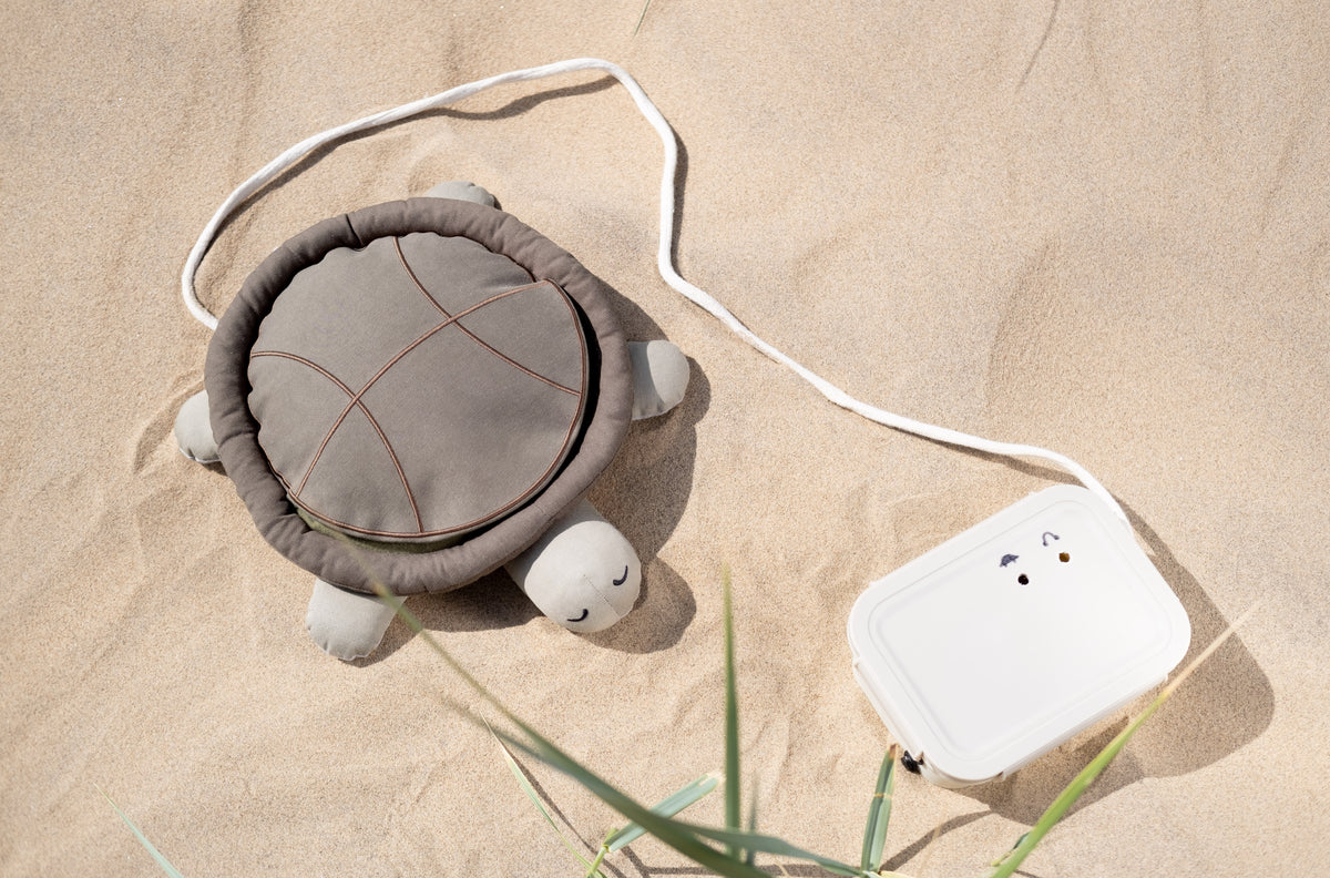 bass turtle ·  spring preorder ·  no batteries