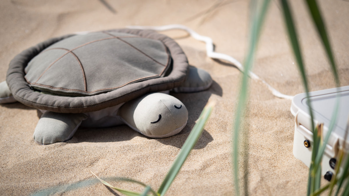 bass turtle ·  spring preorder ·  no batteries